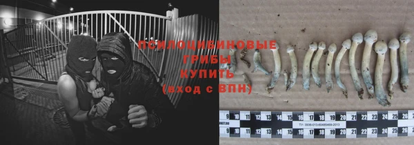 mdpv Нязепетровск