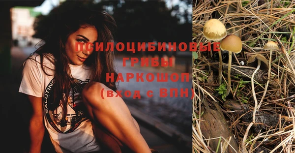 прущий лед Нягань