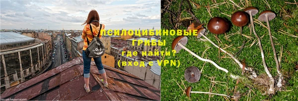 mdpv Нязепетровск
