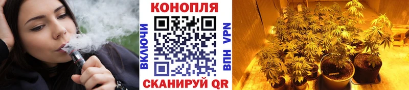 магазин продажи   Троицк  Конопля OG Kush 
